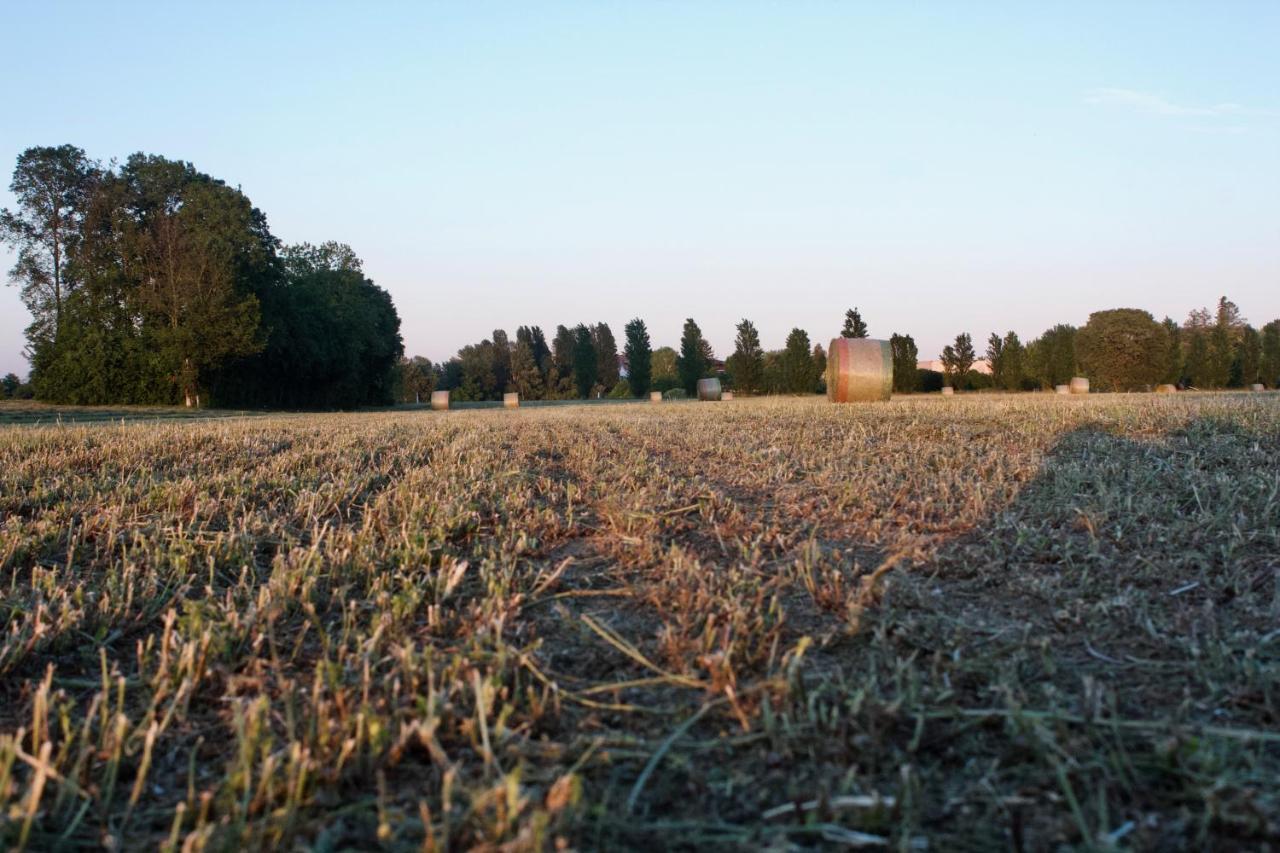 Il Gesuita Mantova Esterno foto