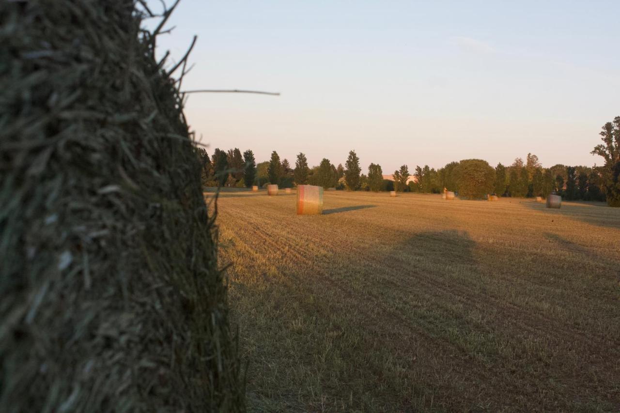 Il Gesuita Mantova Esterno foto