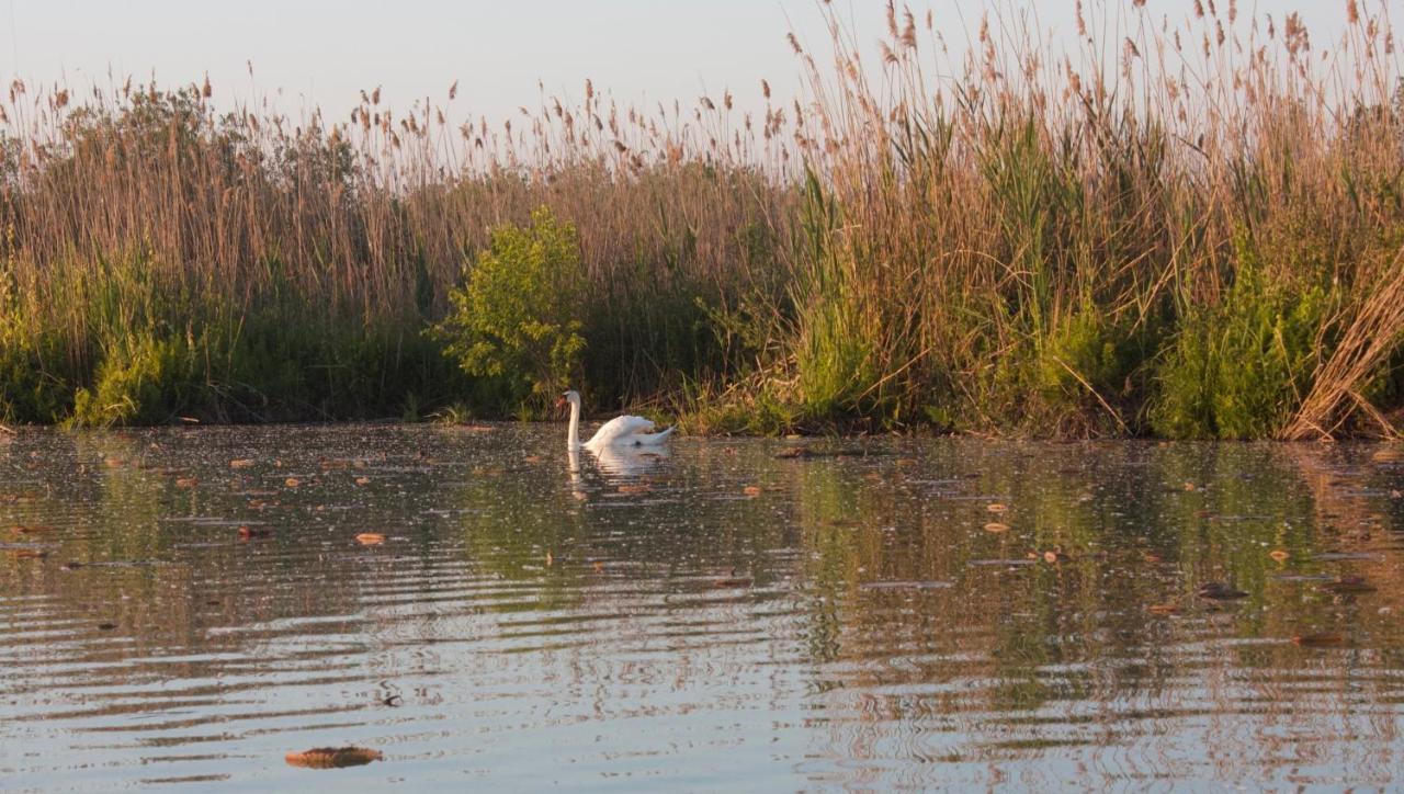 Il Gesuita Mantova Esterno foto